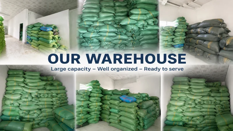 Mekong Fish Scales warehouse with large storage capacity